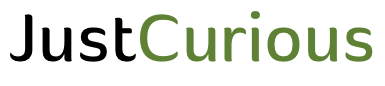 JustCurious